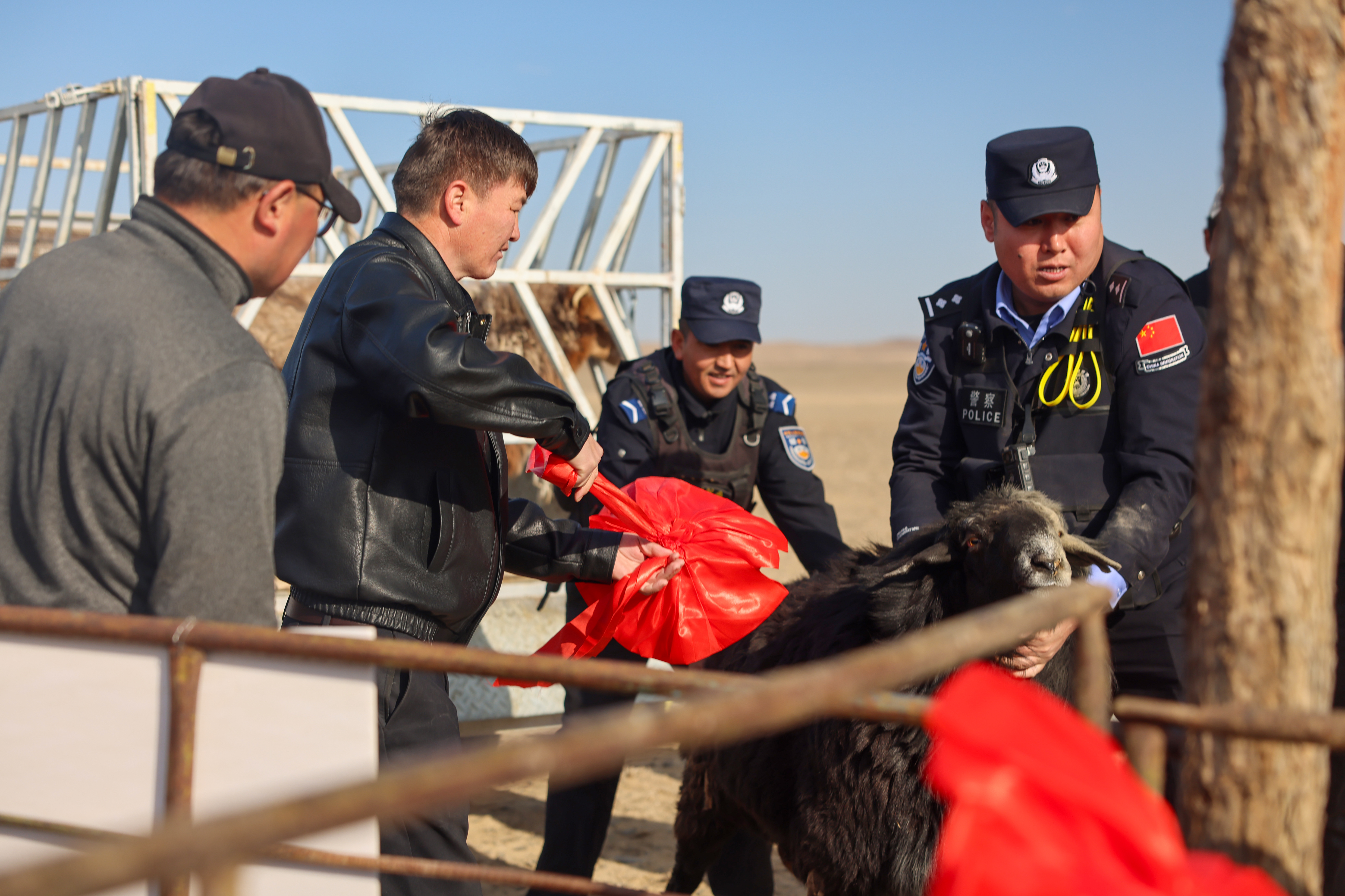 mmexport1760953771641